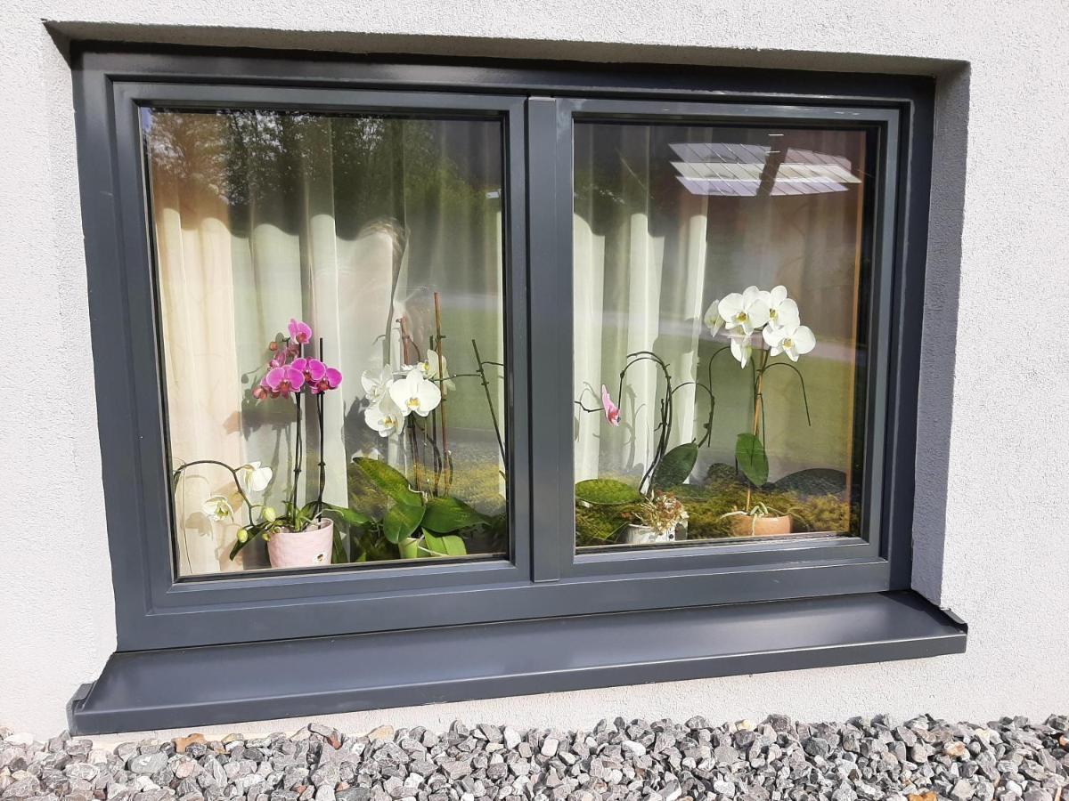 Ferienwohnung Ulrike Sankt Anton im Montafon Exteriör bild